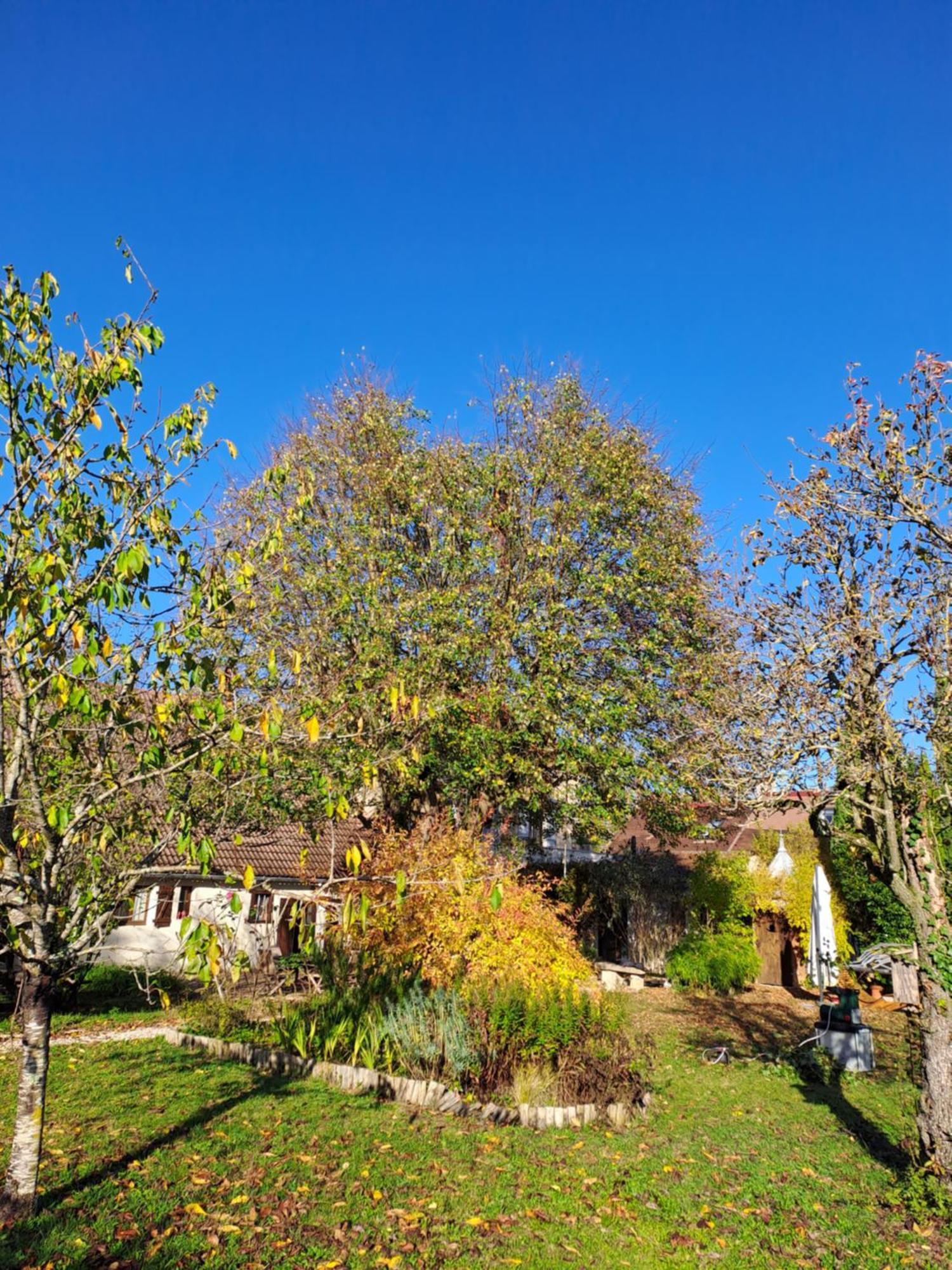 Inspirations - Chambres D'Hotes Saint-Loup-Geanges Exterior photo